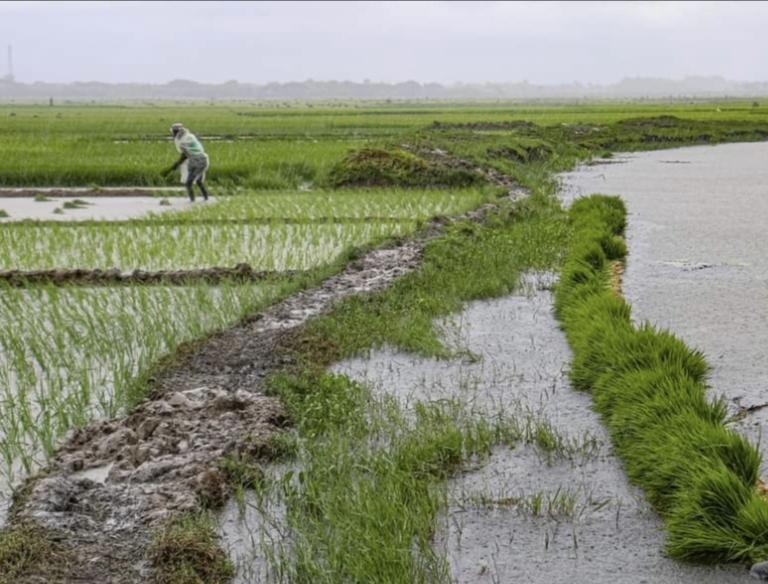 0c5bb909-b54e-4d6d-b369-c7fc2f364ac2