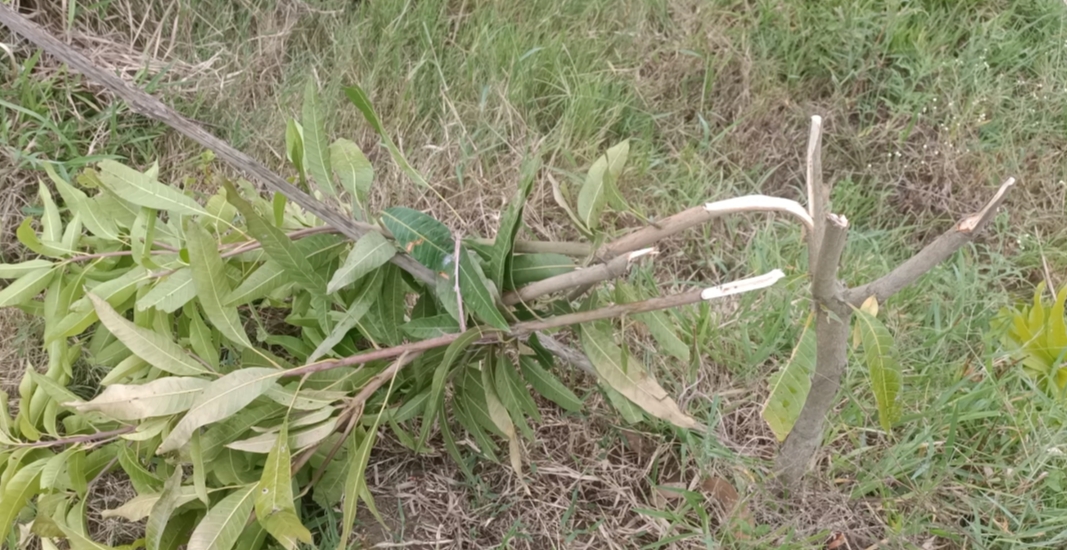 7a5a9377-3bf7-41a2-a260-fc2eb7d9711f