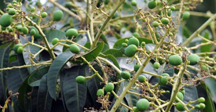 3c35dd37-bb80-41c6-aae9-f12e3bf62994