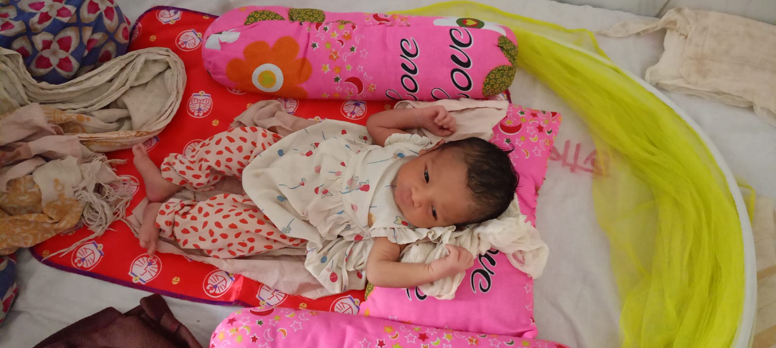 16f3864f-7c89-4d48-95e2-f66c51859cb5