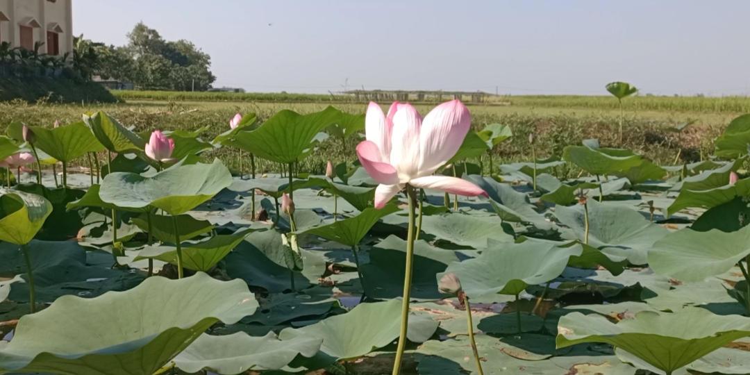 cbcf5aa3-2748-4085-b2d1-35ef0874273c