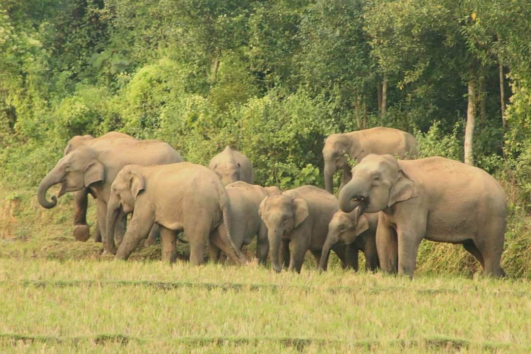 4be2b87a-e6ff-4823-9b85-5d0ae8577bdf