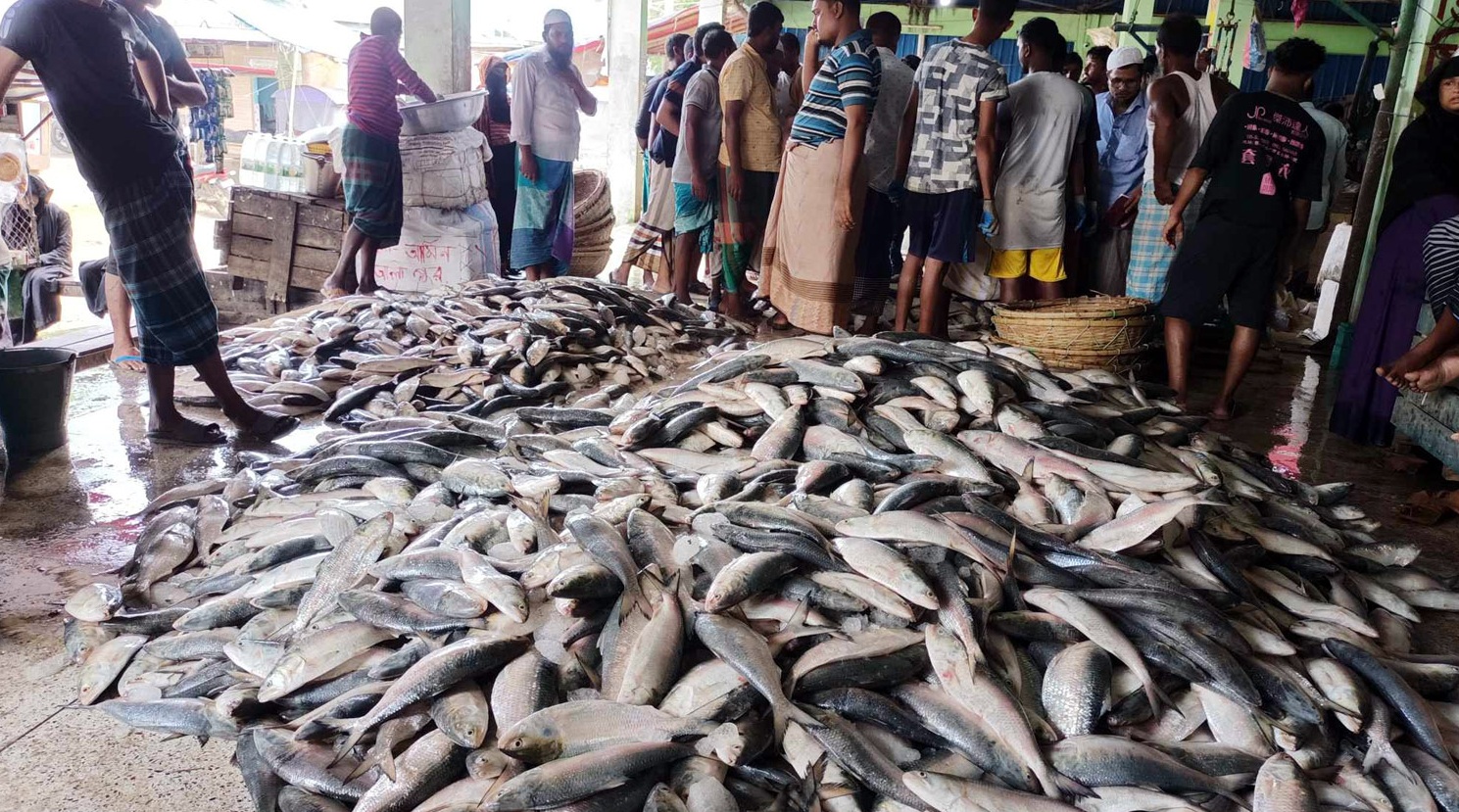 4e15e4ea-53e0-491a-9bb7-8d003942147c