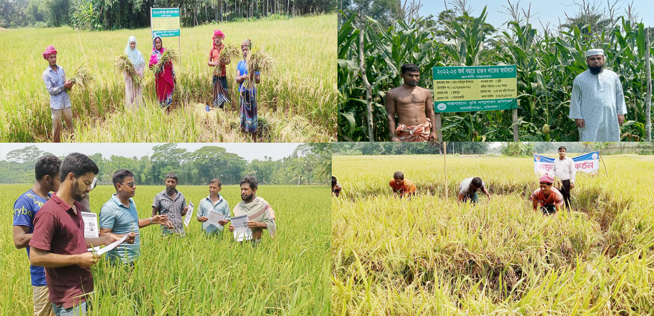 1c1b285d-a394-4401-b86a-486238677293