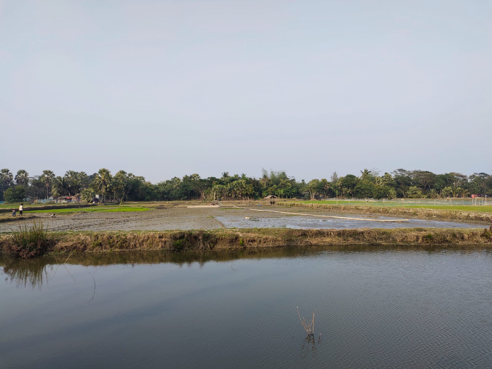 00fbdca8-3981-4fa1-8fa3-a0e769a8c283