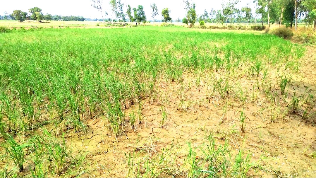 e275ad0f-bcbd-4a43-80a3-05bb5d529405