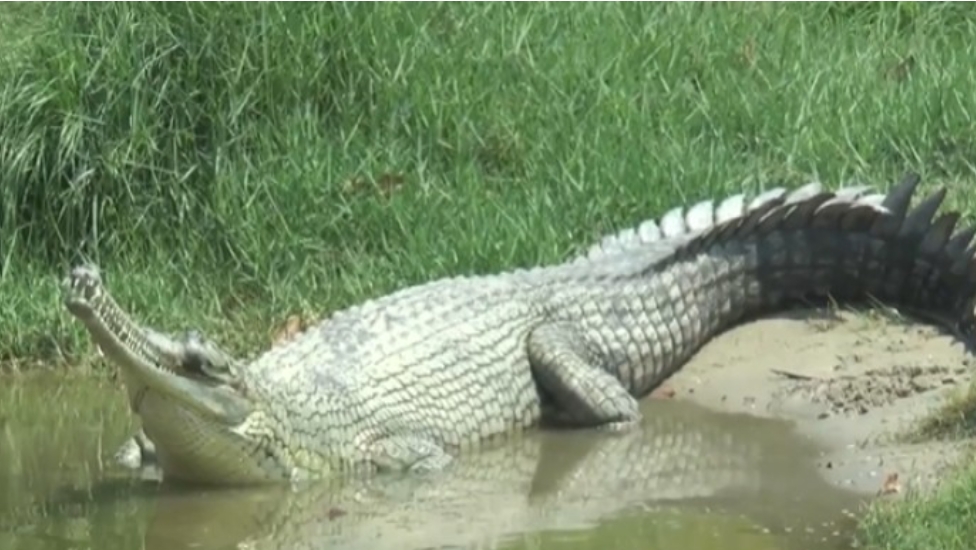 fe985b7a-185e-4026-8275-cb527c0a7821