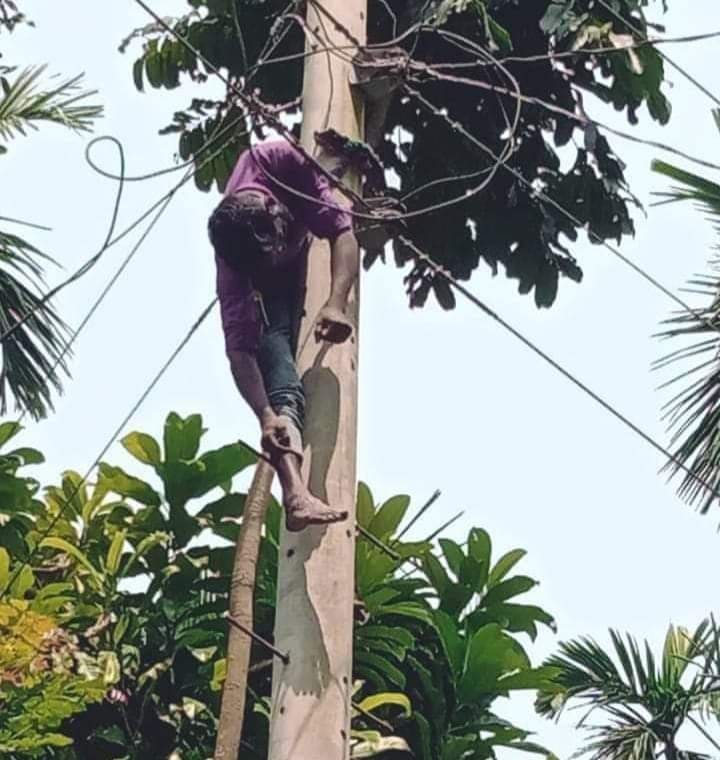 4ce868e0-3abc-4268-974a-e89d1b20df09