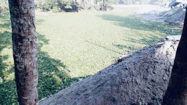 395a76b9-df3a-4578-8916-08a2c9ee643d