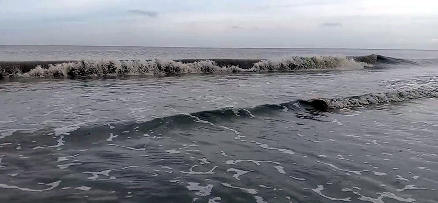 c88094f4-5564-4d1e-9060-bce4f6a2aca2