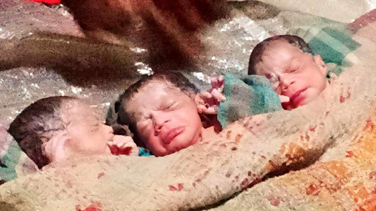 44f98ad6-0d1b-4f07-aa1d-06e9c0a552b1