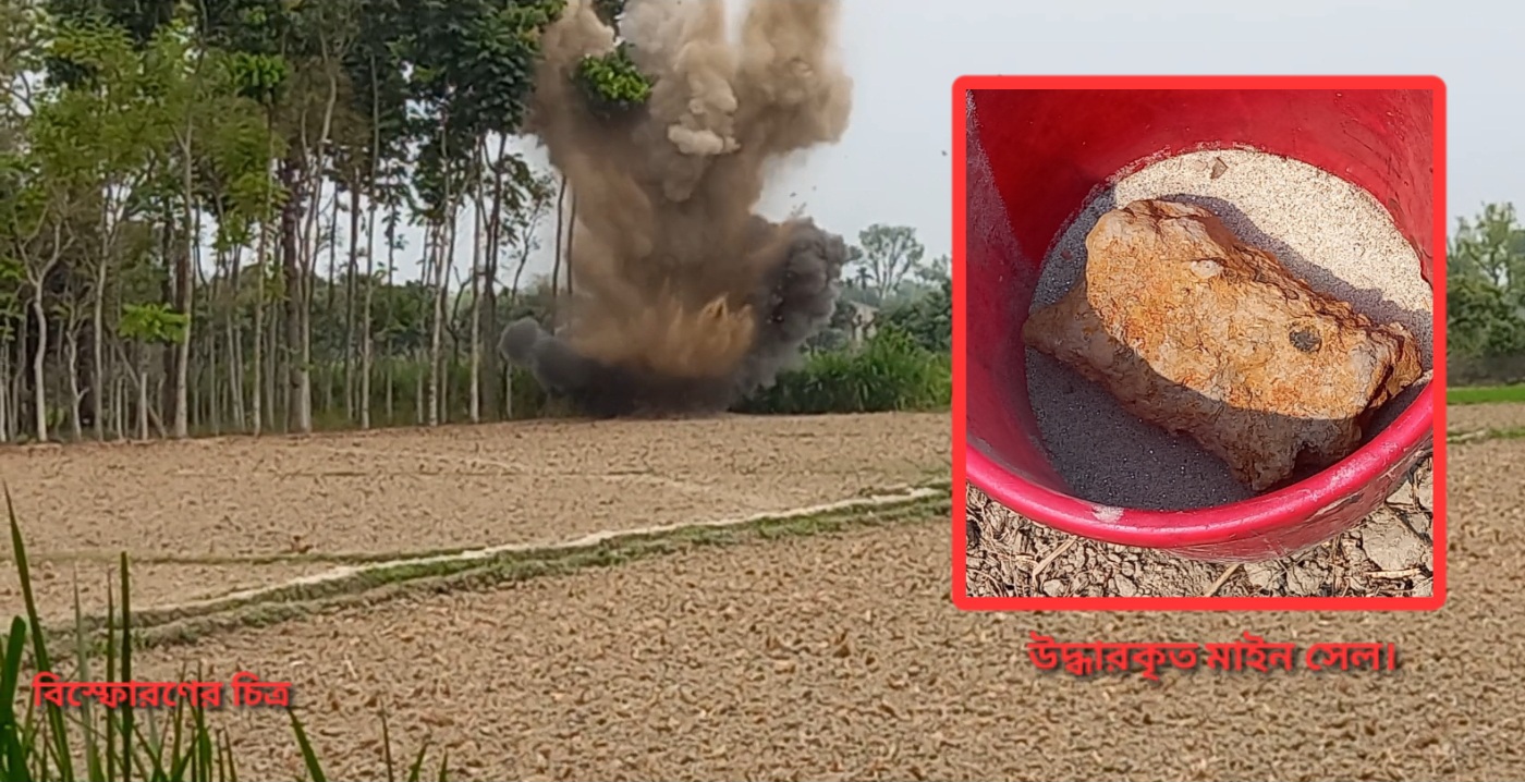 b8567a38-961a-413b-8e12-a9202ff25c82