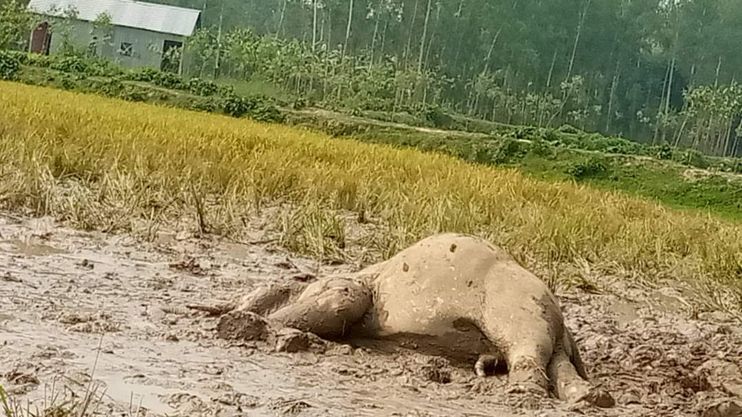 de45412e-959e-4a00-a912-beee836845ce