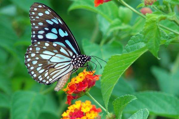 2c8fff44-71cd-4847-bd5e-dfe7a2c18a83