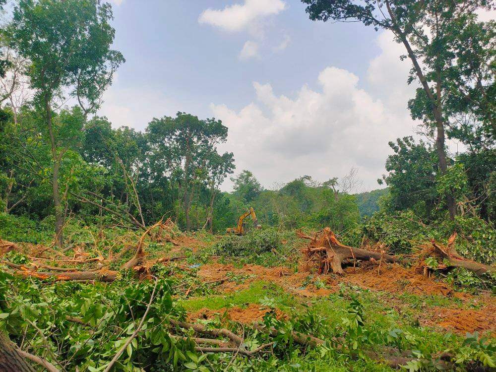 bf57789a-e544-448a-b1c8-37c3c97a189c