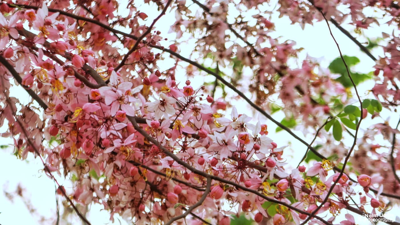 48b3899d-6907-47dd-85e5-1d88e8eb8ea9