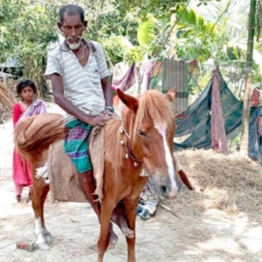 6c71d3fb-2635-4c60-bae6-5aaa6b8497e9