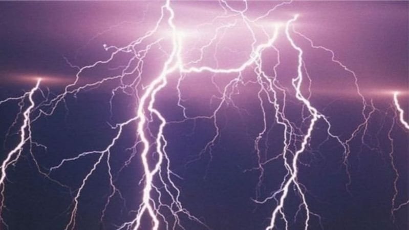 7d3ef626-107a-4d8d-870b-5277d94b9b5d