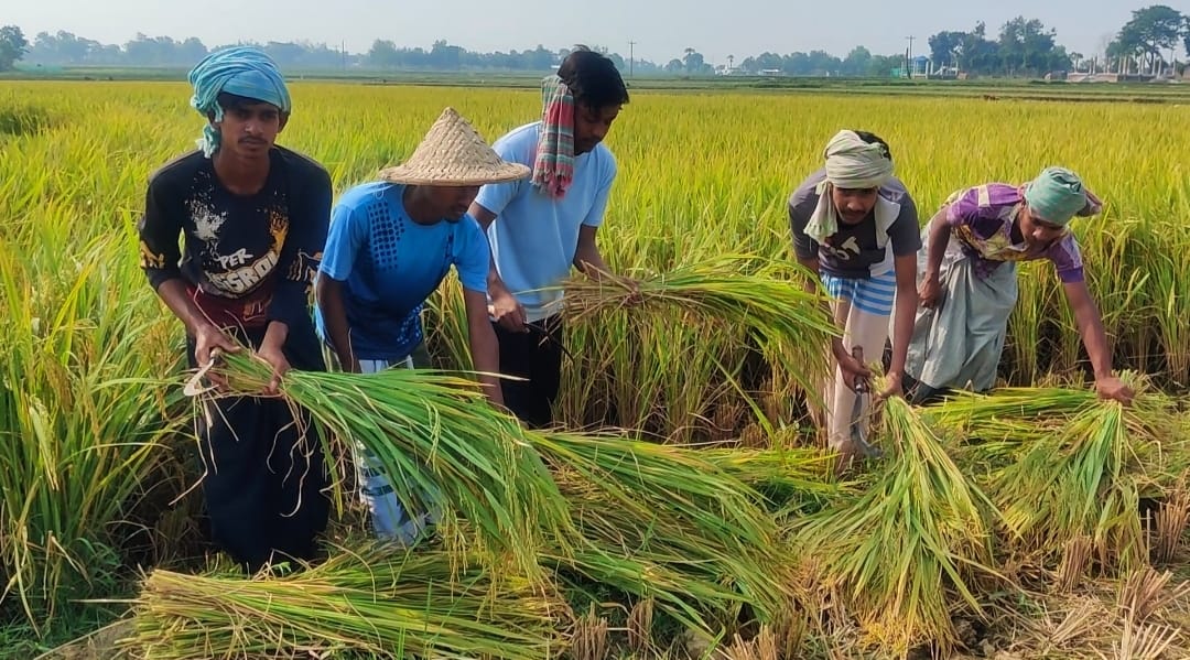 5d49540a-52dd-448b-af48-9abd0a09e242