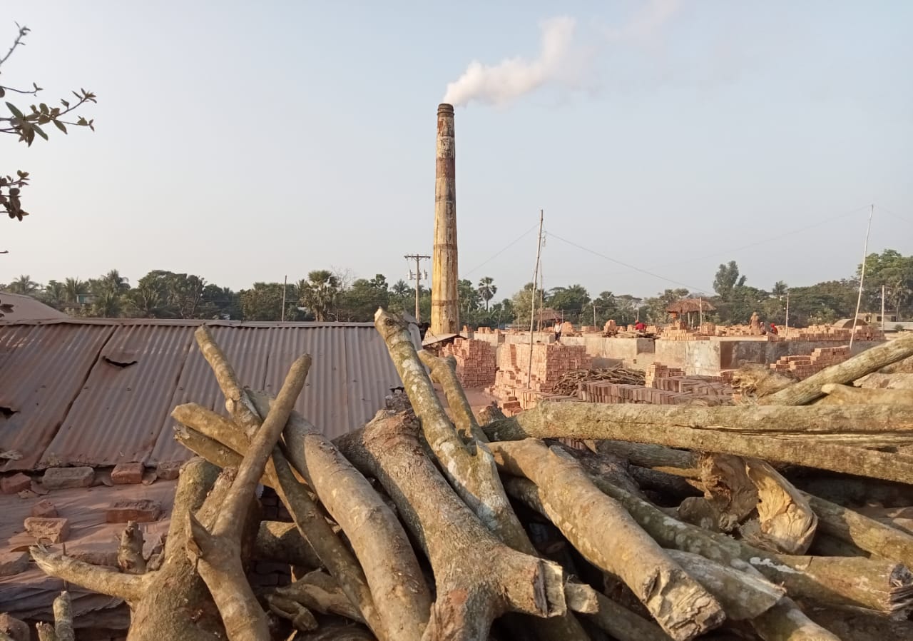 54f28a51-dd5f-4fb4-be22-b0b60802b00e