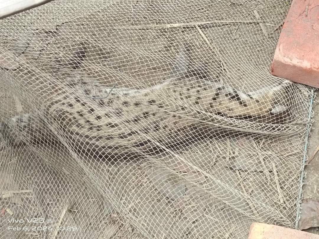 ab5f6e04-241a-4552-b489-91cb84c06fb1