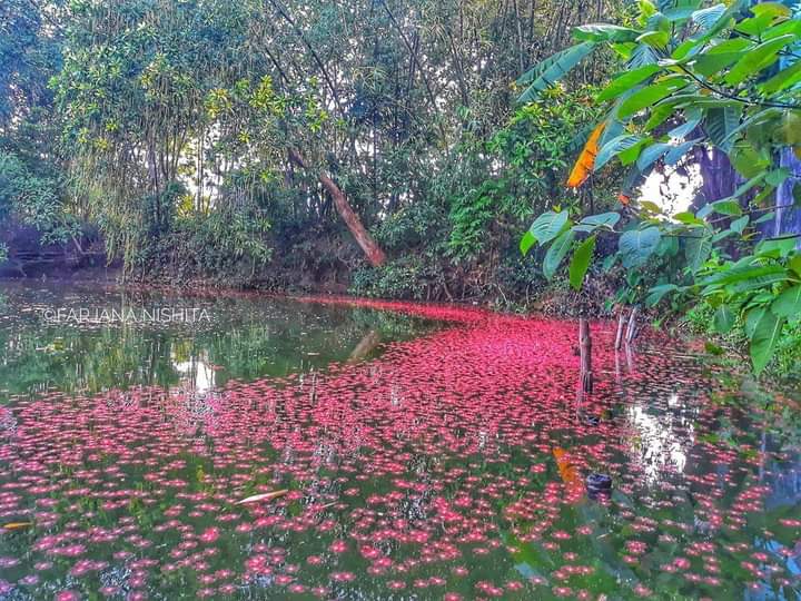 08f30bb3-faf3-4a76-a52e-8f6932d738d9