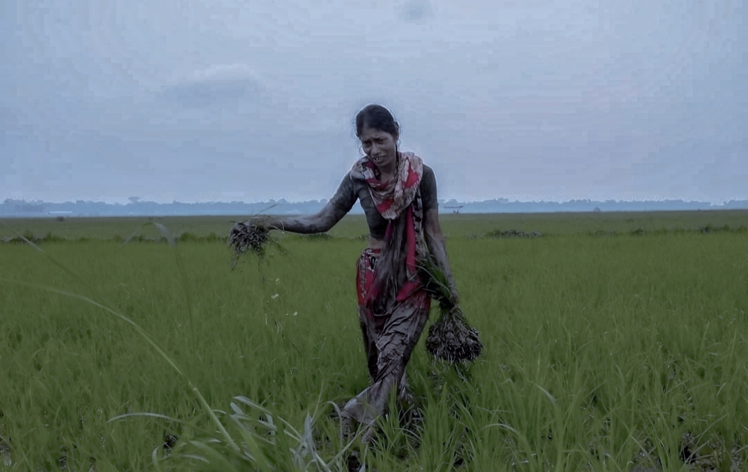 5bbb4b0a-b6d5-4902-8f61-fee323cf081b