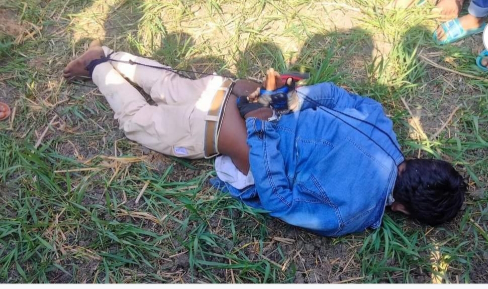 7e563ea3-9894-4b9e-b9ad-a7672c15056a