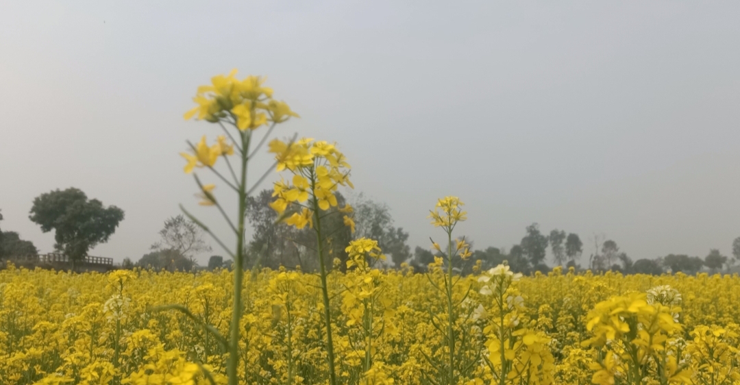 b84cddc7-3bc1-4925-957a-8f0fb185913d