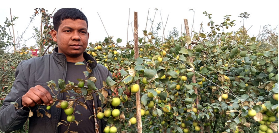 681597ea-263e-4883-a242-4974f1b8a17d