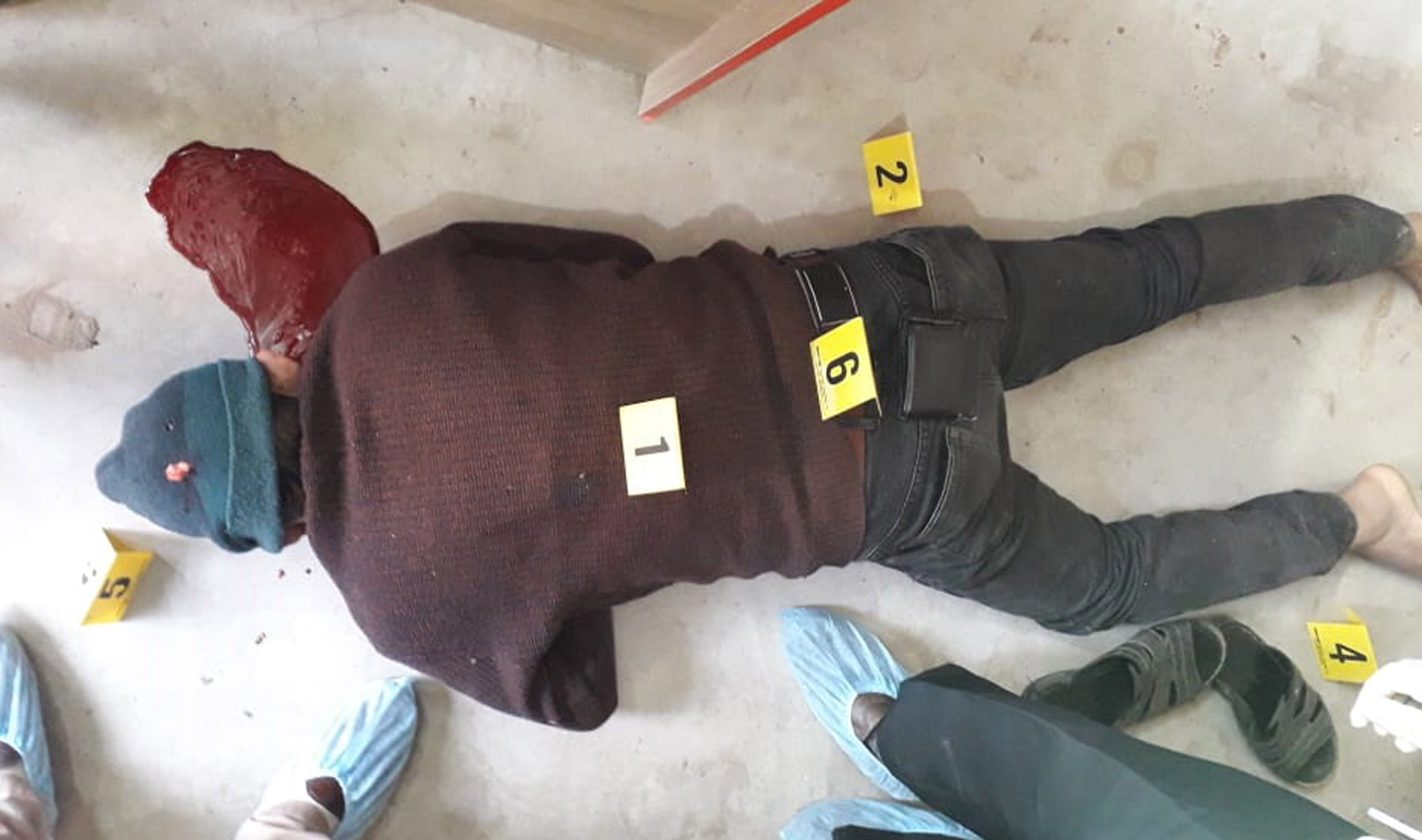 4d515f45-cda5-4084-8ae8-ede404bd002e