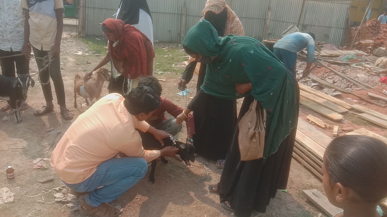 faf4f304-7d52-4d2d-8156-dbd171a4097d