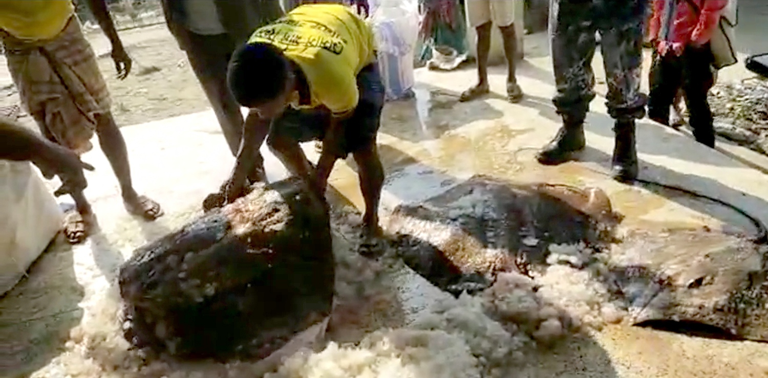 b94b1f9e-d354-4819-9f77-0745fa56b41e