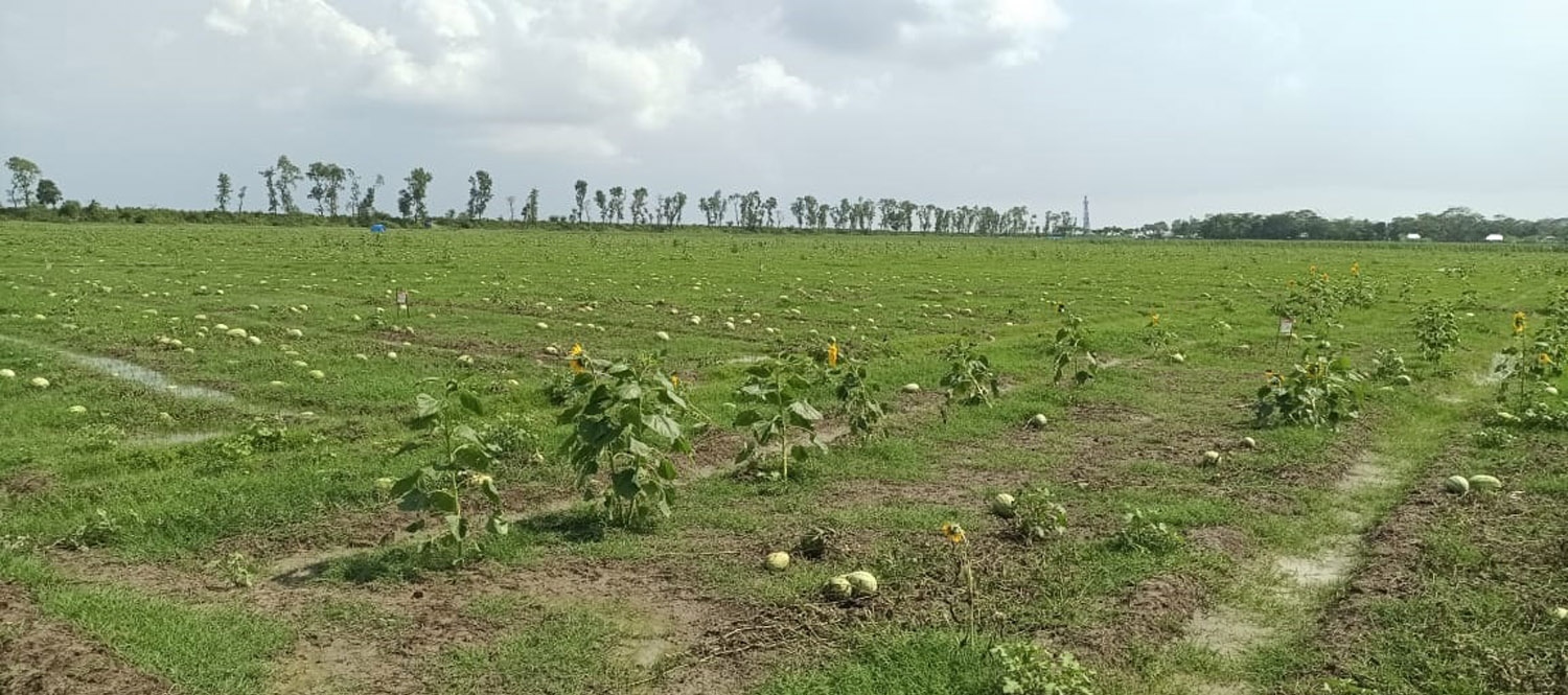 dc711680-4e8b-453e-abe5-92cfdd8f077c