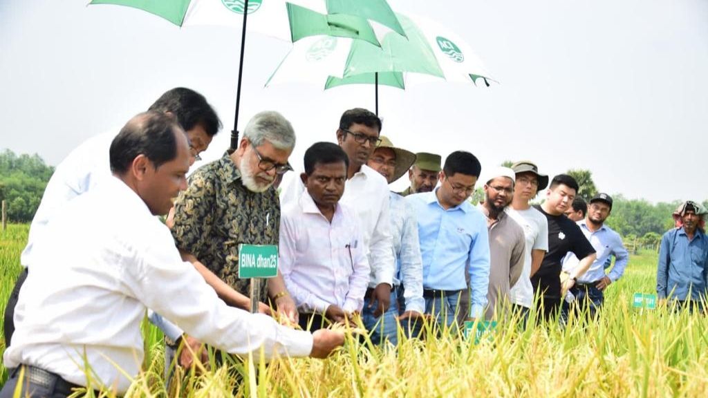 337fe3ab-c1a1-4302-870f-6477550d9533