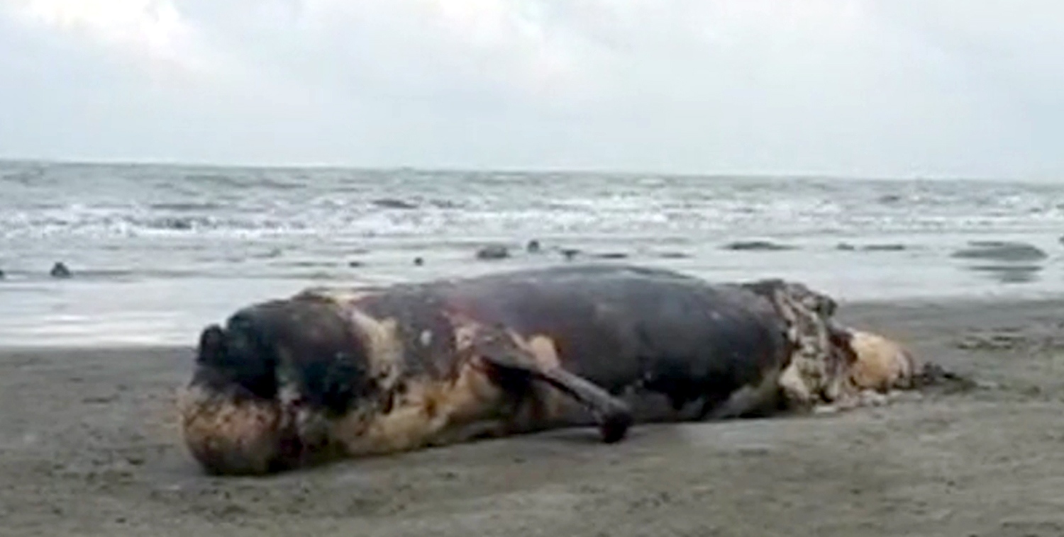 0fa9f58a-7fa3-4380-92ea-c545c418541b