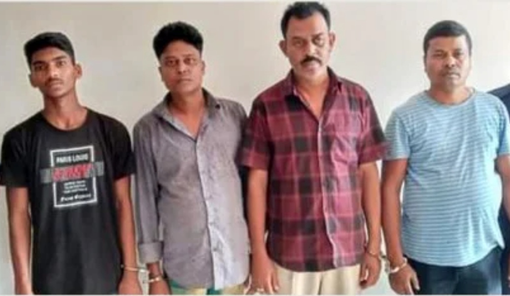 aa0484e7-6d8e-4184-aeb8-8628d2b912ee