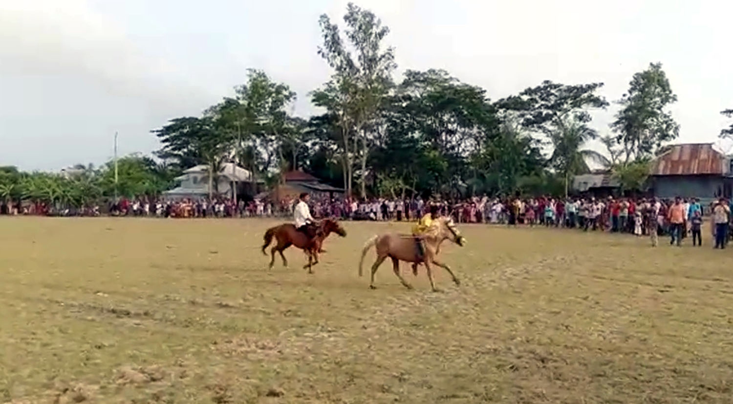 11e97639-b742-4969-957d-56b0244aad27