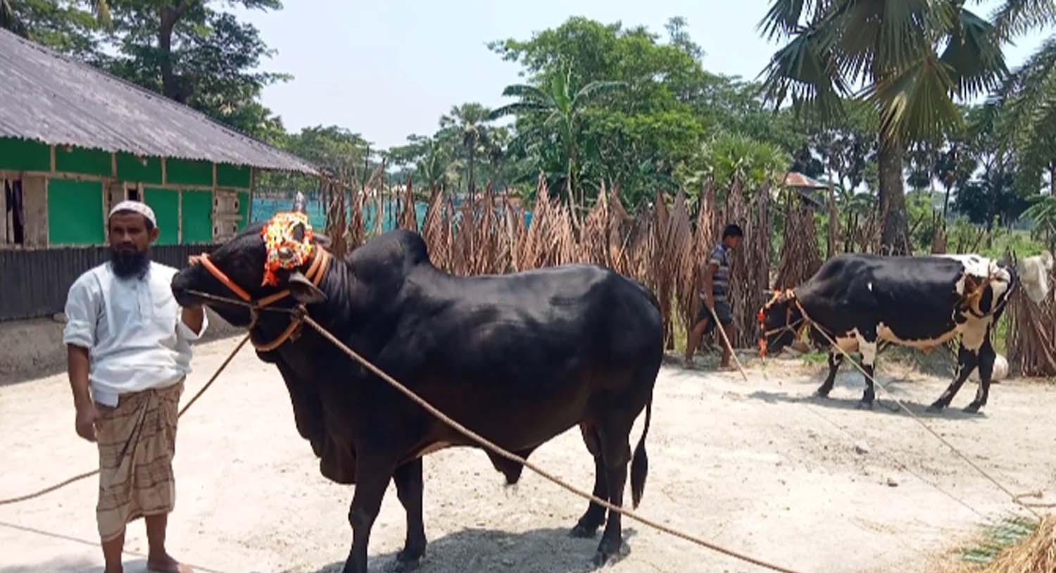 f8155b0e-08c2-449d-bc62-abd10e3ffc8b