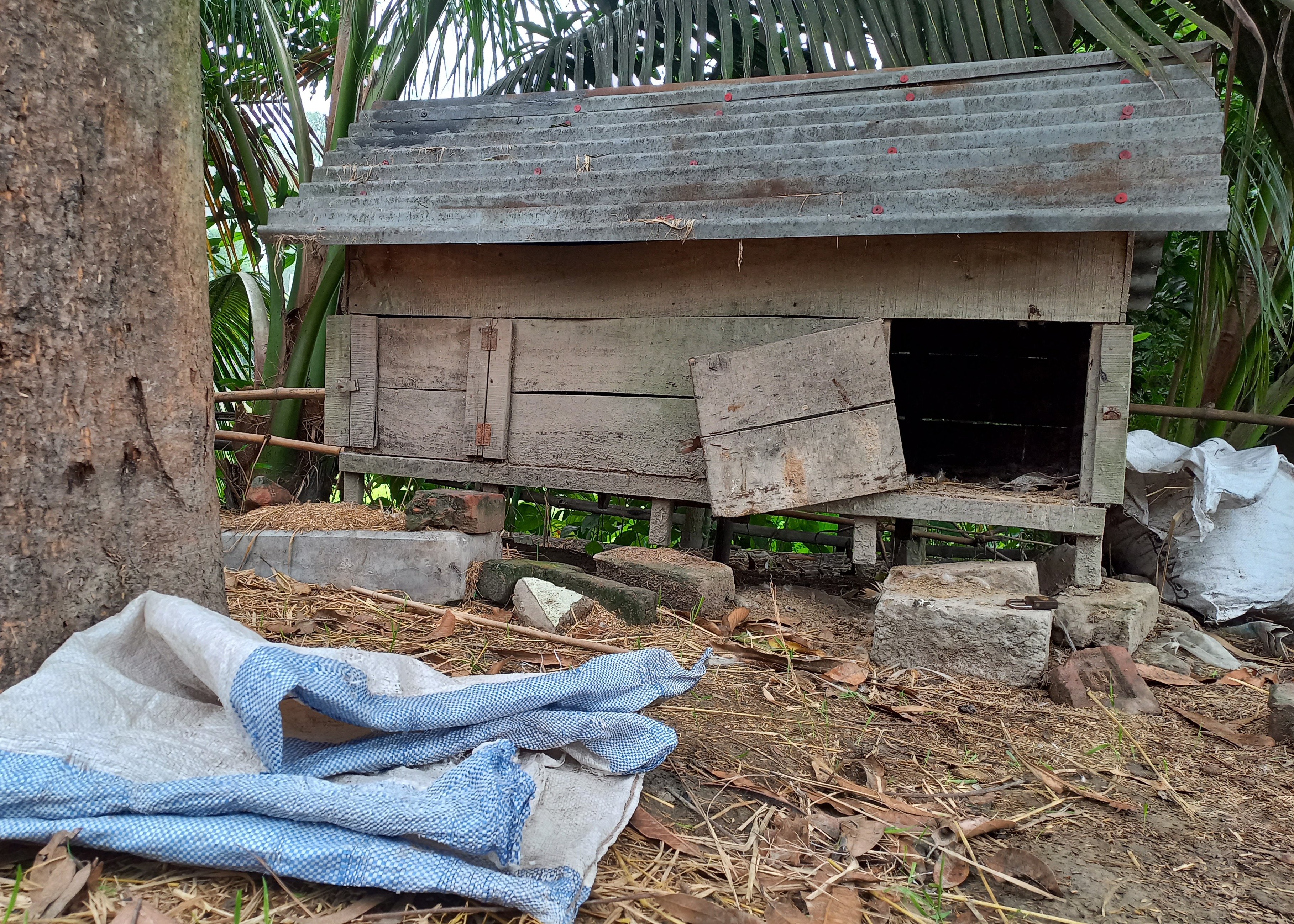 48e0a0d6-3738-4e9e-8739-6bb222c253bb