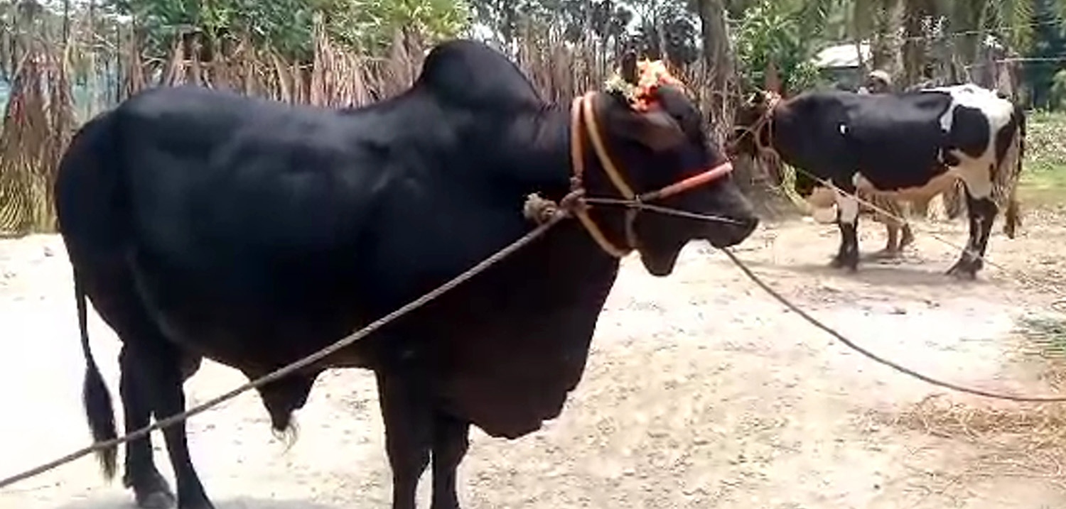 06b8421d-9549-45bb-af0d-4136321a79de