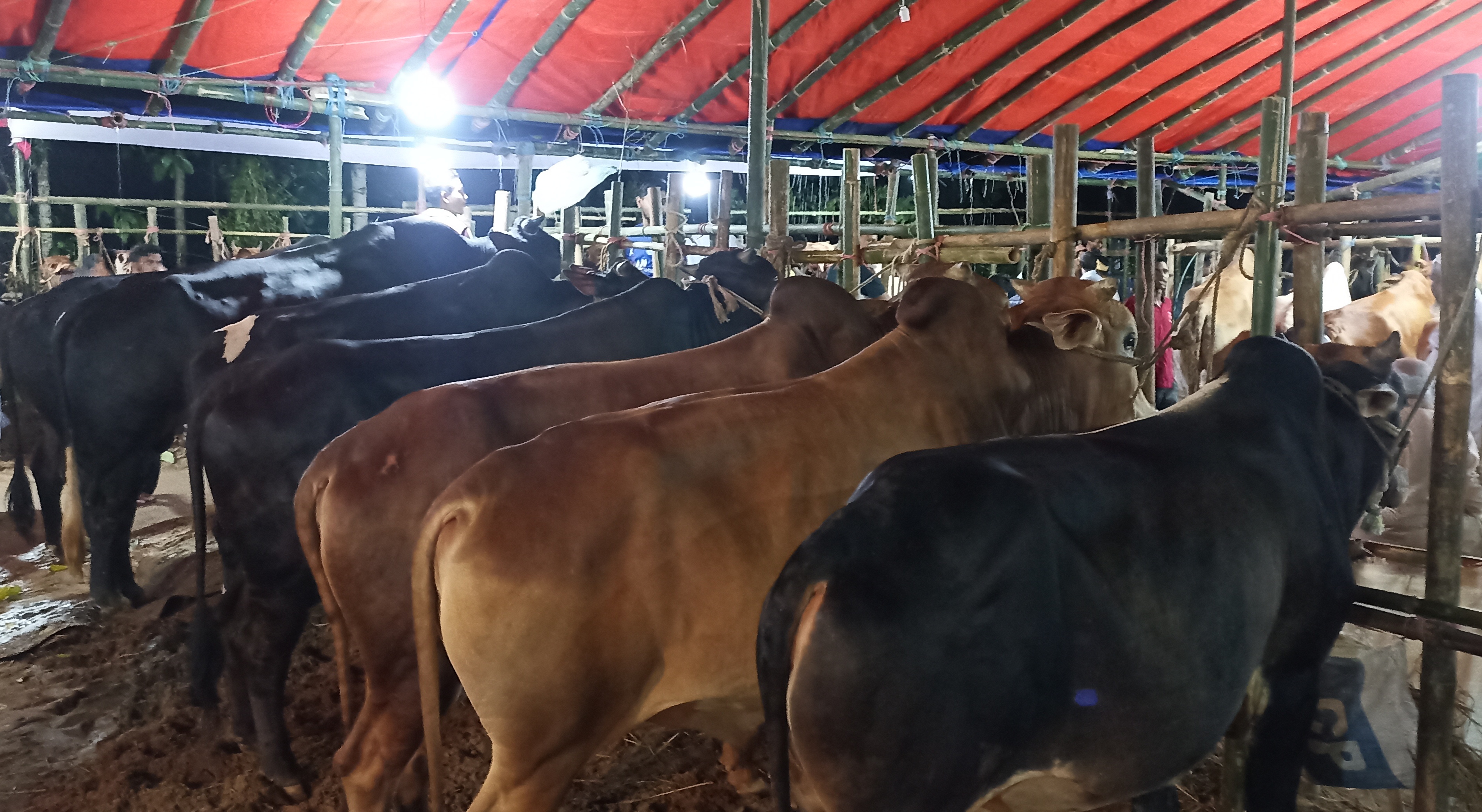 7cb01abb-8ce1-40a8-89ed-5dca86a9c562