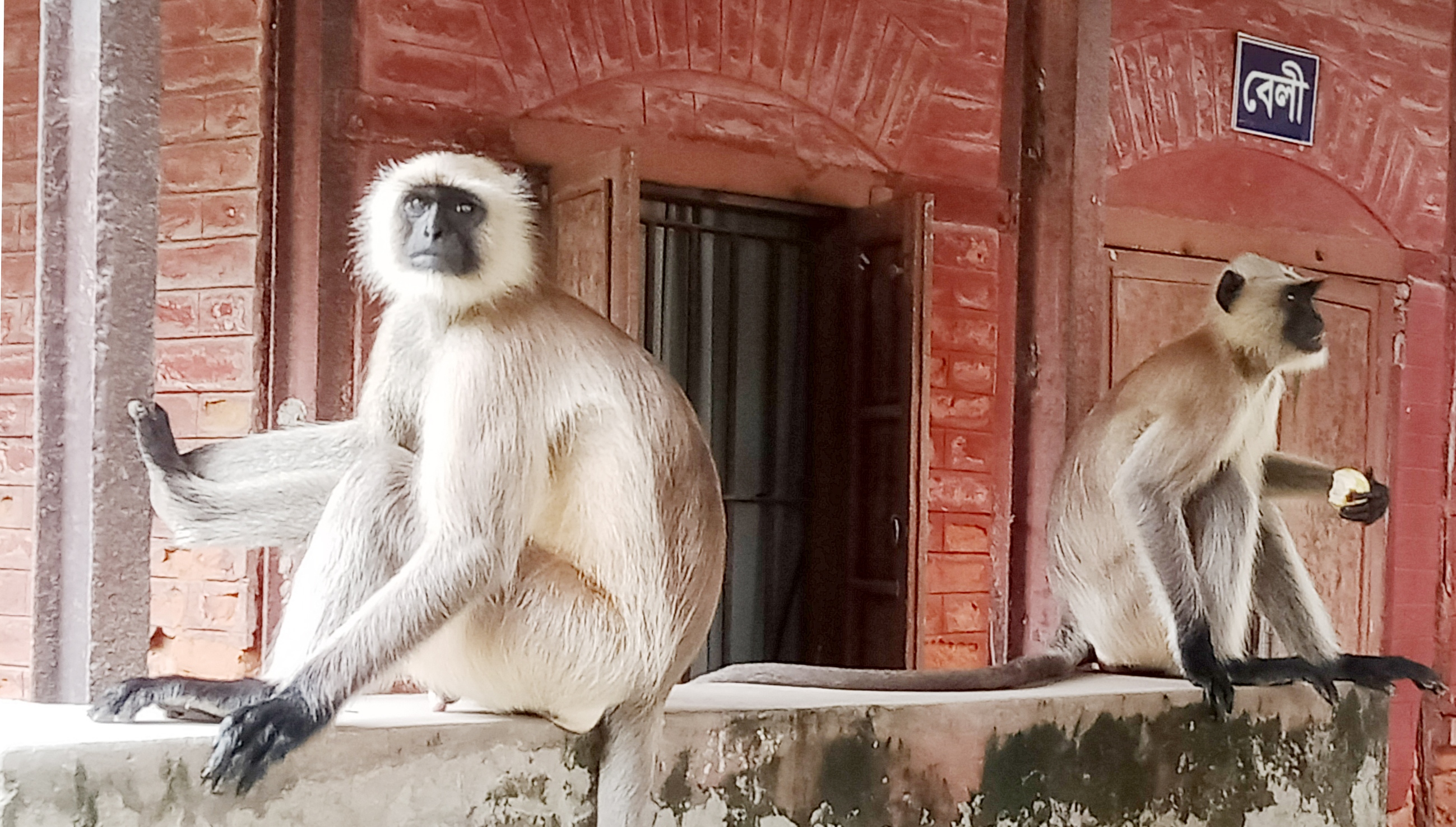 71c77016-8191-4779-83c4-89b4df418512