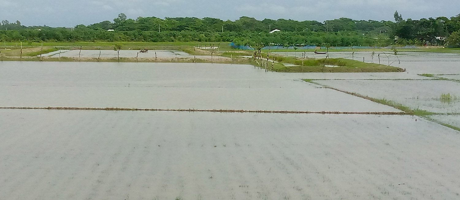 8d1879ae-00eb-4c02-a294-b0d2edfc745a