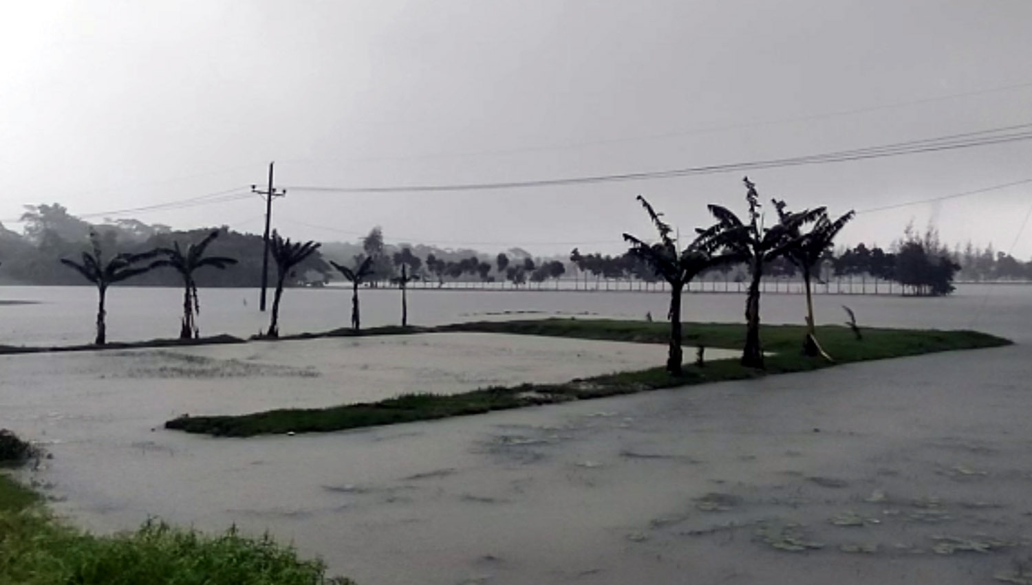 2dbb7bdd-a446-439a-97f8-ec240d4761b4