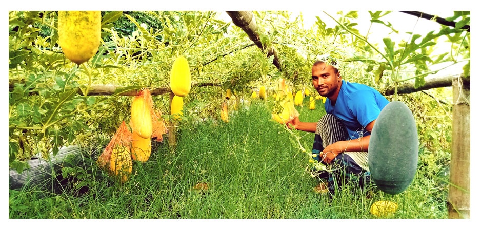 4e0db0dc-e37a-4274-8726-520d5964a0e0