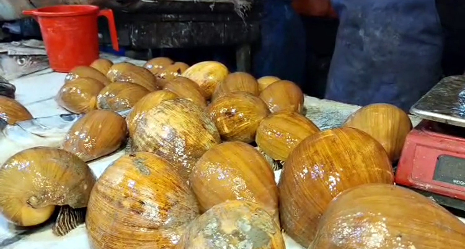 3a10a947-3043-4528-874c-4c2f309ca4c8