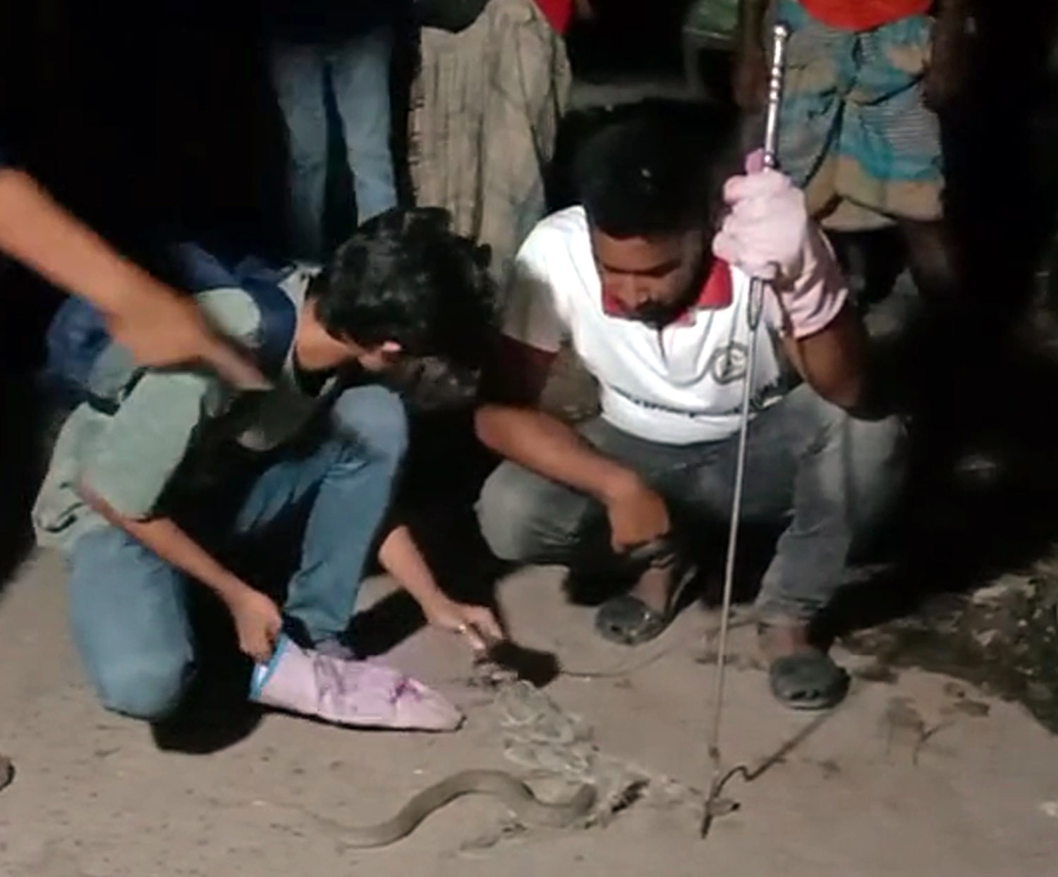 d311d32f-a853-4151-bedb-5e0c84ba477d