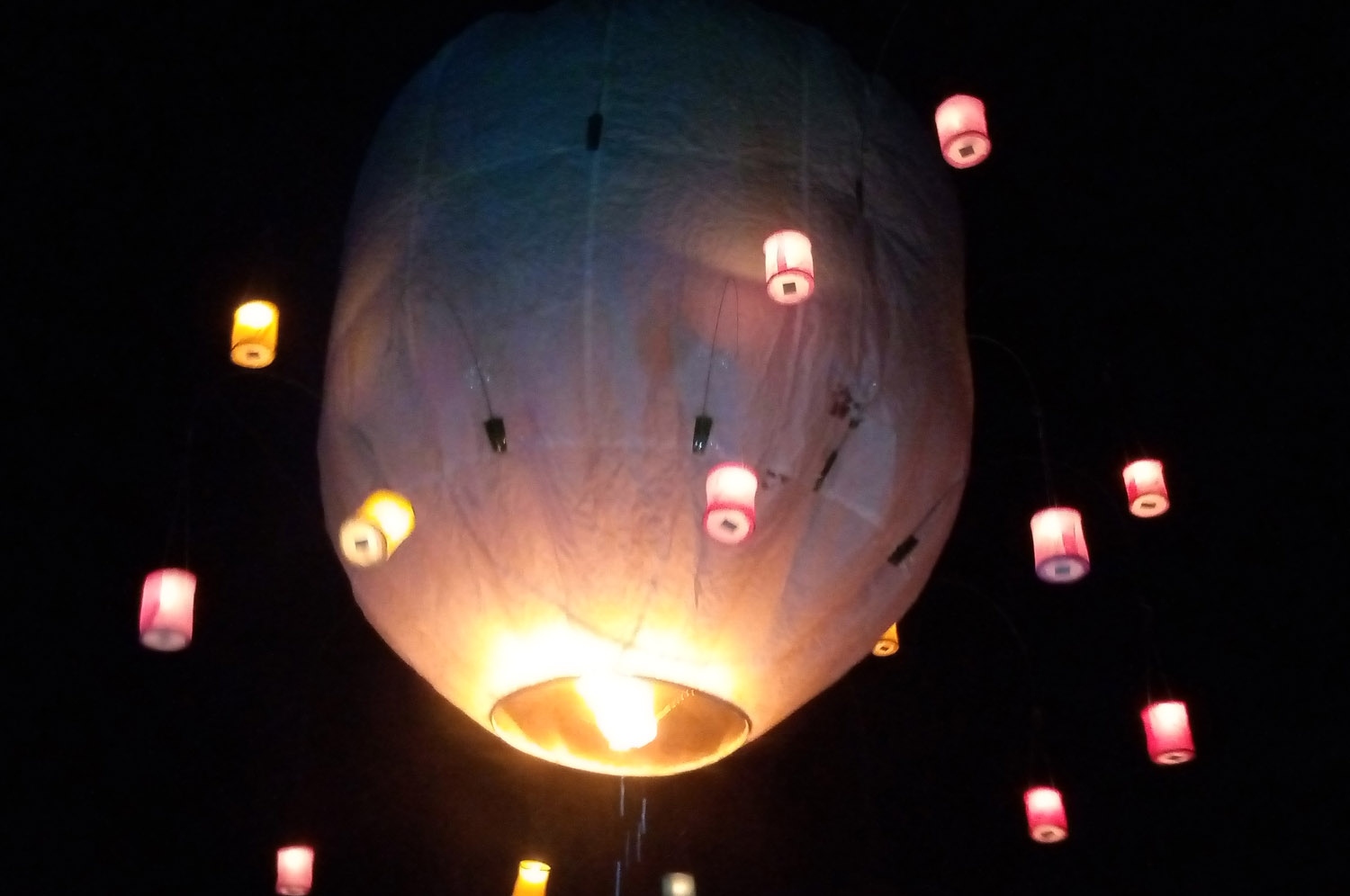 a6b287fc-1b07-45f4-9e1f-2f42dc33a107