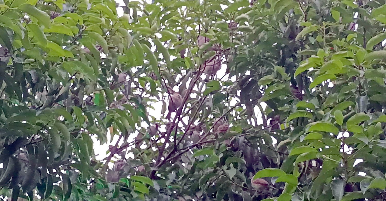 0598d35a-7d4e-47ec-be54-ac3c7d9fd0c4